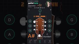 C Standard Tuning  ( C-F-A-D-G-C ) - Using GuitarTuna Free