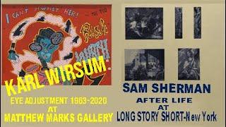 Karl Wirsum at MATTHEW MARKS Sam Sherman at LONG STORY SHORT