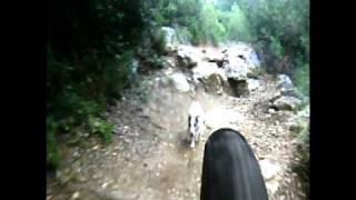 descente vtt seb et kimi le chien fou