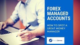 Forex Managed Accounts - How to Spot a Great Money Manager - Forex James