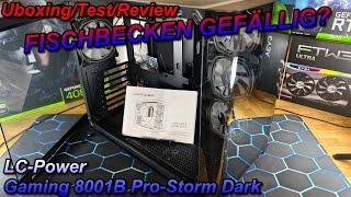 LC-Power Gaming 8001B Pro-Storm Dark - Fischbecken Design - Gutes Gehäuse, aber...