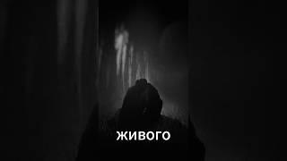 НЕ ОСТАВАЙСЯ ОДИН | Darkwood #рекомендации #2024 #vegret #shorts