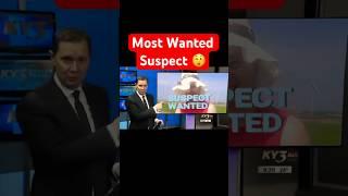 Most Wanted Suspect: The Hunt Begins! - Mr.DragonLe #shorts #memes #cat