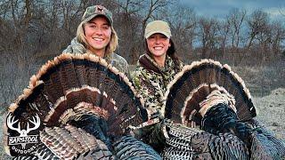 Two Chicks Chasing Turkeys