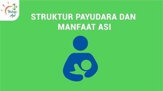 STRUKTUR PAYUDARA DAN MANFAAT ASI : SISTEM REPRODUKSI PART 3