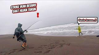 Siapa sangka ..!! Nekat mancing di pantai saat turun hujan, dapat sambaran ikan besarr...