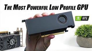 The Fastest Low Profile GPU With The Power You Need! RTX A2000 Hands-On