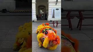 Yiwei Lion Dance Performance