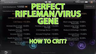 [Guider of Dawn] HOW TO MAKE BEST GENE FOR RIFLEMAN/VIRUS (Balanced!) - LifeAfter