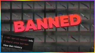 I JUST GOT VAC-BANNED! (and why using an AMD GPU might ban you too!)