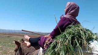 Daily life and riding of nomadic women: strength and endurance against challenges 