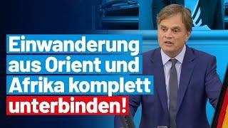 Migrantengewalt erfordert Konsequenzen! Bernd Baumann - AfD-Fraktion im Bundestag