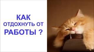 Как отдохнуть от работы?