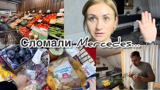 Зоомагазин , покупки для Ричи  Закупка в Rewe  Испытываю новую щётку ️ сломали Mercedes 🫣