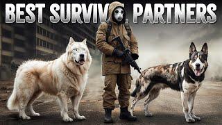 10 Best "Apocalypse Surviving" Dog Breeds