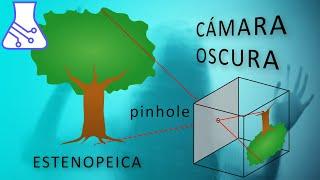 Pinhole camera. Experiments and Explanation.