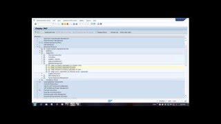 SAP Enterprise Structure configuration Video