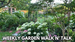 June Garden Tour! Hydrangea Propagation Results, Garden Design Plans for the Library, Lily Tour