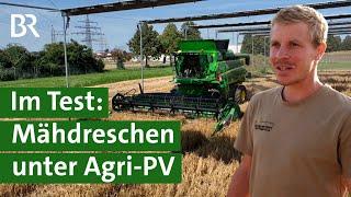 Agri PV und Getreideanbau: Funktioniert das? Mähdreschen extrem | Unser Land | BR