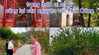 [735]Bà Nội Đi Đốt Nhang_Pháo Cầu Cho Trác Lâm Thi Đậu Bằng Lái Xe.