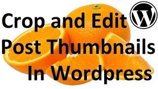How To Edit Post Thumbnail Size In A Wordpress Site: Simply Crop and Edit