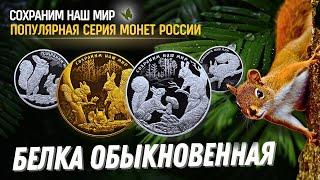⭐️ Эти монеты стоит купить: золотые и серебряные монеты России «Белка обыкновенная»