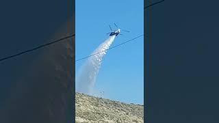 Only in LA: putting out a grassfire near Malibu, no big deal