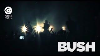 BUSH - Pre-Order the New Album on PledgeMusic
