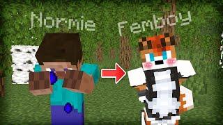 The 5 Stages of Becoming a Furry Femboy in Minecraft