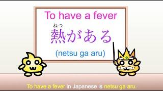 Learn Japanese Vocabulary - Sickness, Physical Ailments and Symptoms in Japanese