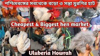 Biggest hen market of howrah , West Bengal ।। Uluberia her market ।।