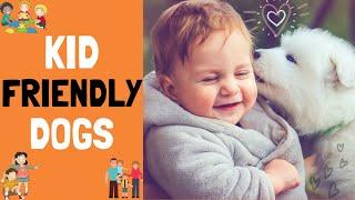 10 Kid Friendly dogs- Best Dogs for Families with Children