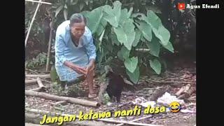 Story wa lucu ngakak abis,mau ketawa takut dosa #shorts #ngakak #woko #wokochannel