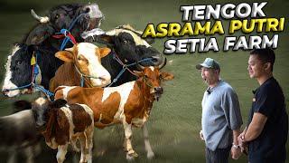 GUE BARU TAU..! TERNYATA DI SETIA FARM ADA ASRAMA PUTRI JUGA GAESS..!!