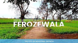 15 Wonderful Facts about "FEROZEWALA", Pakistan | Gateway to Lahore’s Cultural Heritage