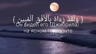 Сура 81« Ат-Таквир»/Махди Аш Шишани #Коран #Quran #чтениекорана #quranlisten