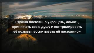 334. Арсен Абу Яхья «Нужно постоянно укрощать, ломать, принижать свою душу