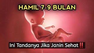 Tanda Janin Sehat di Trimester Ketiga | Usia 7-9 Bulan!