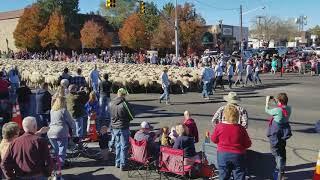 Cedar City Livestock/Sheep Parade