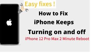 iPhone 12 Pro Max 2 Minute Reboot