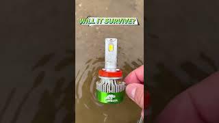 Throw Boslla LED Bulbs into the Mud, Will it Still Work?