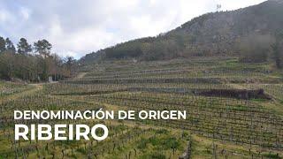 Spanish Wine Regions: Ribeiro