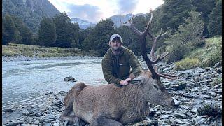 Two Giant Wilderness Red Stags - Part 1 - New Zealand Hunting