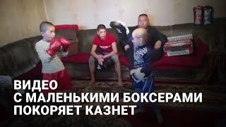 Видео с маленькими боксерами покоряет Казнет