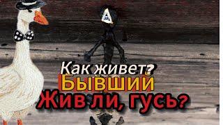 Как живет бывший? Счастлив ли он без тебя? Гадание на таро Экспресс, быстро