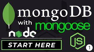 Intro to MongoDB and Mongoose | Node.js Tutorials for Beginners