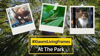 #XiaomiLivingFrames | Photography At The Park