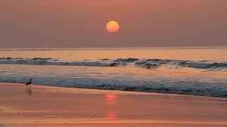 Sunset di tepi pantai No Copyright video