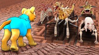 Can ZOOCHOSIS MONSTERS find me in a MAZE?! (Garry's Mod Sandbox)