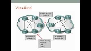 Routing Protocol Basics